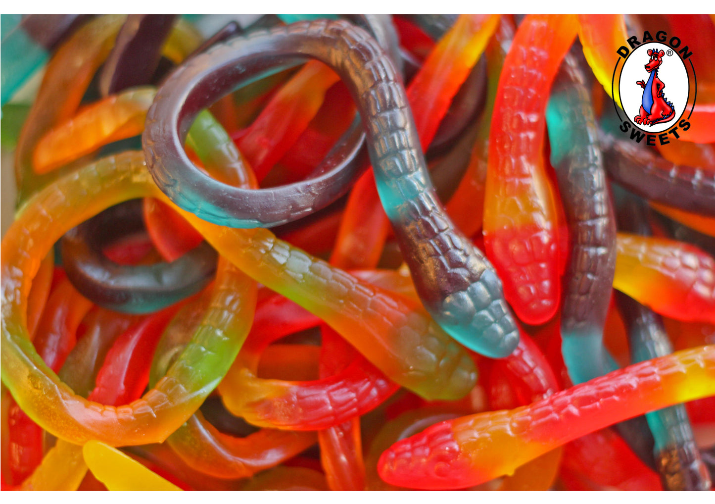 Dragon 2kg Gummy Pythons 50g x 40ct