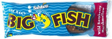 Rainbow Big Fish 50g x 20ct